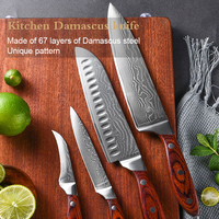 5 inch utilitymes professioneel hoogwaardig VG 10 Damascus staal fruitmes met Pakka houten handvat