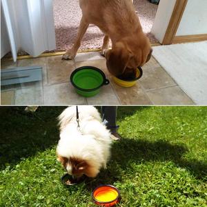 Kingtaleportátil de viaje al aire libre de silicona plegable para mascotas gato con <span class=keywords><strong>comida</strong></span> de perro de alimentación de agua de - Product Image 5
