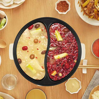 Casserole électrique à grande capacité en acier inoxydable de 6 l pour la maison et l'extérieur, avec revêtement antiadhésif et contrôle de la température