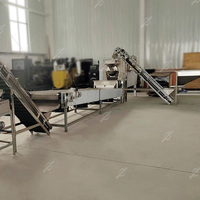 Ligne de production de petite capacité pour la fabrication de tahini, de pâte d'amande, de pâte de noix de cajou, de pâte de sésame, de beurre de karité, de beurre de pistache et de beurre d'arachide