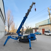 Mini-grue araignée personnalisable à moteur diesel, moteur Weichai, garantie 3 ans, grue hydraulique portable à commande à distance