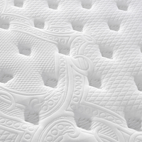 Matelas en mousse à mémoire de forme douce en velours tricoté avec éponge élastique de compression pour un sommeil parfait allemand pour les meubles d'hôtel