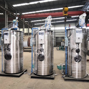 Générateur de vapeur industriel vertical au gaz GPL, au diesel, 200 kg, 250 kg, à vendre - Product Image 2