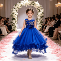Robe en tulle bleu royal brodée or pour tout-petits, tenue de fête d'anniversaire pour bébé fille, robe de princesse pour enfant, robe de demoiselle d'honneur pour mariage