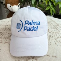 Gorra de Béisbol de Malla con Logotipo Personalizado, 6 Paneles, Bordado, Secado Rápido, Transpirable, Perforada, Ajustable con Velcro, para Golf, Viajes, Fiestas