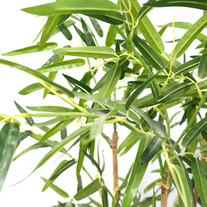 Bambou artificiel géant personnalisé <span class=keywords><strong>de</strong></span> 3m ou 4m avec pot, pour intérieur/extérieur, écran d'intimité, faux bambou <span class=keywords><strong>en</strong></span> plastique - Product Image 3