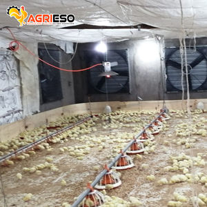 Peralatan Peternakan Unggas Pemanas Gas Otomatis untuk Ayam - Product Image 2