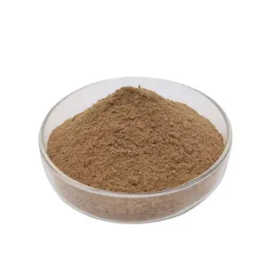 Lonicera Japonica Extract Honeysuckle Flower Extract Chlorogenic Acid 5% 10%