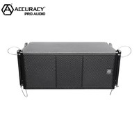 Accuracy Pro Audio LA210A-D4-RQPRO PFC - Módulo de Línea Activa Profesional Compacto con Revestimiento de Poliurea Neo de 2 x 10 Pulgadas