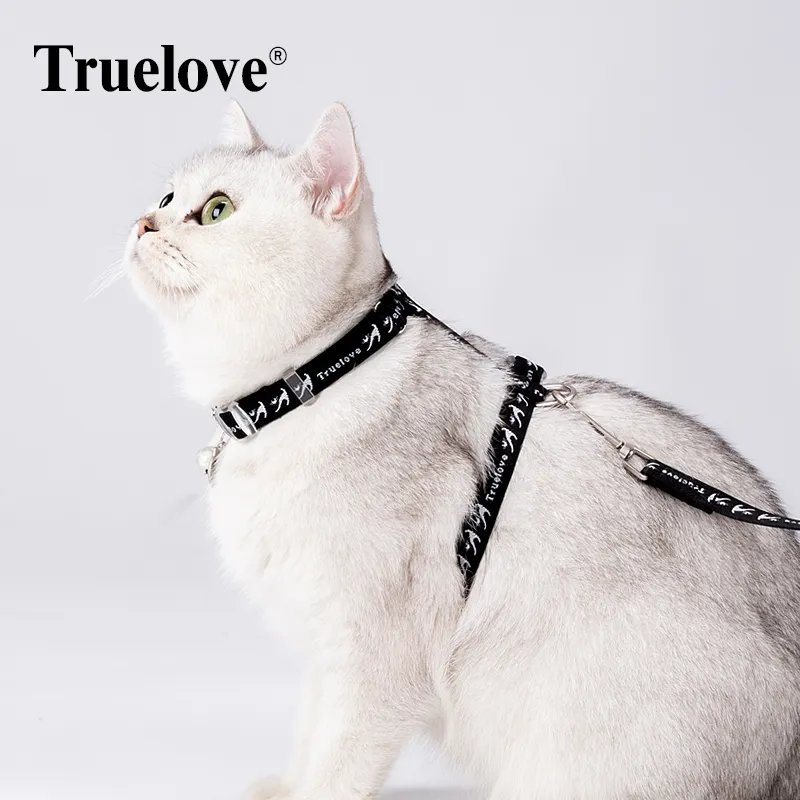 Truelove conjunto de coleira de gato personalizado, coleira de segurança para animais de estimação