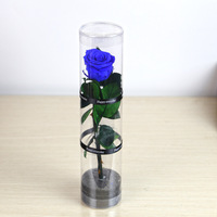 Die beliebtesten ewigen Rosas konservierten al por Mayor einzelne natürliche unsterbliche, für immer erhaltene Rosen mit langem Stiel für die Heim vase