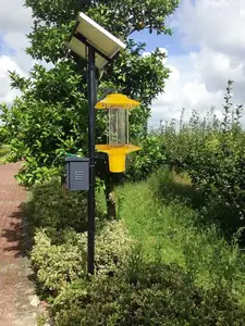 Açık Orchard/Park böcek bug fly tuzakları sivrisinek katili Led lamba elektronik güneş sivrisinek işık