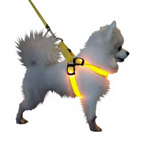Aksesoris Hewan Peliharaan LED Berkilau <span class=keywords><strong>OEM</strong></span> Laris Manis, Bahan PP untuk Anjing Kucing, <span class=keywords><strong>Harness</strong></span> Mewah untuk Berjalan di Malam Hari - Product Image 1