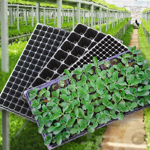 Plateaux <span class=keywords><strong>de</strong></span> semis pour semis, dispositif à 200 cellules Extra résistantes, pour semis - Product Image 3