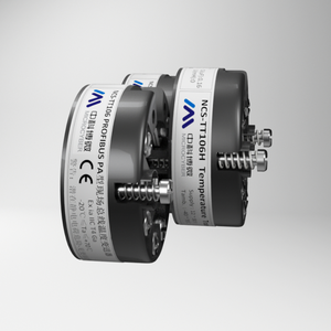 Transmetteur de température avec fonction de protocole FF pour Foundation Fieldbus - Product Image 4