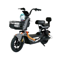 Vélo Électrique de Commutation Léger 500W 48V à Moteur Arrière Direct Usine - Scooter Électrique Économe en Énergie pour une Conduite Fluide