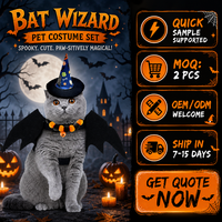 Conjunto de Disfraces de Halloween para Mascotas al por Mayor, Traje de Cosplay para Perros y Gatos, Sombrero de Bruja, Capa, Suministro Directo, Bajo MOQ