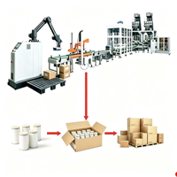 Machine automatique d'emballage de cartons, d'érection de caisses, de palettisation à la fin de ligne et de collecte de cartons par robot