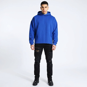 Sweat à capuche zippé pour homme, coupe classique, bleu roi, 3D, 100% coton, épais, hiver - Product Image 1
