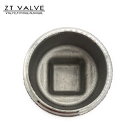 Bouchon de tête 3/4 ''NPT filetage mâle carré 316 304 1 16 raccords de tuyauterie en acier inoxydable