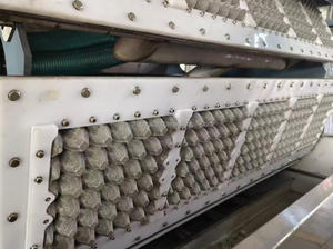 Máquina automática de alta velocidad para fabricar bandejas de huevos con 5-8 moldes, línea de producción de moldeo de pulpa para cartones y bandejas de huevos - Product Image 2