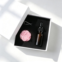 Diffuseur d'huiles essentielles en porcelaine en forme de fleur pour la maison, diffuseur de parfum en céramique pour voiture, désodorisant en plâtre aromatique – Vente en gros directe usine