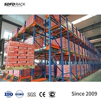 Sistema de Estanterías Automáticas de Alta Calidad para Almacenes, Sistema de Estanterías de Paletización con Radio Shuttle, Estanterías Multi-Nivel para Almacenamiento Industrial en Cámaras Frigoríficas