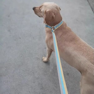 Correa Antiahogo para Perros de 10 Pies / 15 Pies / 20 Pies, Correa de Entrenamiento Larga, Gruesa y Suave de 1 Pulgada de Ancho para Perros Pequeños, Medianos y Grandes - Product Image 6