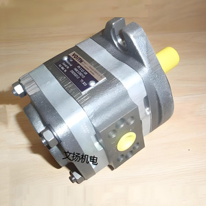 ปั๊มเกียร์ Voith รุ่น IPV AP C5 6 7 40 64 80 125 101 111 ปั๊มไฮดรอลิก ตัวเรือนเหล็กหล่อ ขับเคลื่อนด้วยไฟฟ้า - Product Image 2