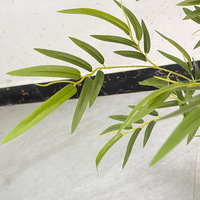 Bonsái Artificial de Bambú de Plástico Resistente al Agua y a los Rayos UV, Ecológico y Duradero, para Decoración de Jardines Interiores y Exteriores, Venta al Por Mayor