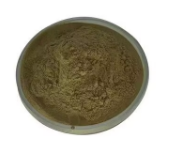 OEM/ ODM yüksek kalite Abelmoschus Esculentus bamya özü tozu 10:1 veya 20:1 konsantre bitki özü - Product Image 2