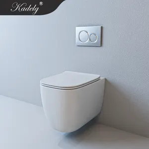 चौउ दीवार लटका सिरेमिक आधुनिक WC