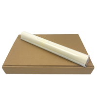 Rouleau de nettoyage COMPATIBLE pour RICOH MP 7500 8000 8001 1075 7502 2075 7001