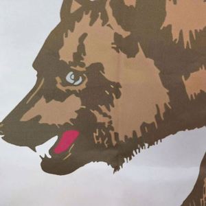 ขายส่งธงแคลิฟอร์เนียขนาด 3x5 ฟุต ผลิตจากผ้าโพลีเอสเตอร์ 100% คุณภาพพรีเมียม พิมพ์ลายดิจิทัล เป็นมิตรกับสิ่งแวดล้อม พร้อมเสาโลหะ 2 เส้น สำหรับแขวน/โบก - Product Image 6