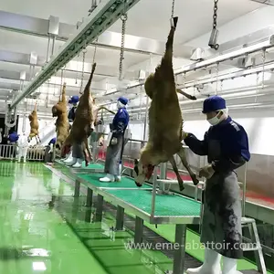 Equipo de matadero de ovejas Procesamiento de canales Carril de transporte automático Matadero de cabras para máquina de línea de matanza