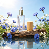 Botol Parfum Isi Ulang Kaca Premium Ramah Lingkungan Bentuk Persegi Panjang (30ml/50ml/100ml) dengan Pompa Semprot Berlapis Matte