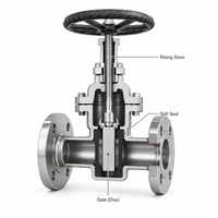 Vanne à opercule industrielle manuelle à bride en acier inoxydable LUOKEFM Z41W CF8 PN16 avec joint métallique - Plage de température de -20 à 425 °C