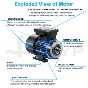 Nettoyeur haute pression électrique portable 2200W 110V 220V 13L/min 240V pour élevages porcins et applications électro-industrielles - Product Image 5