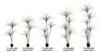 Vente en gros de plantes artificielles en pot en plastique écologique pour projets paysagers : Dracaena et Yucca