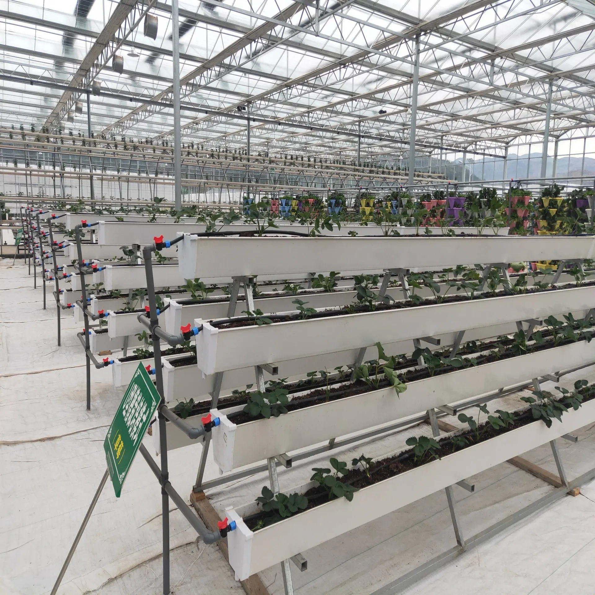 Система выращивания гидропонной томатной системы вертикальной гидропонной системы