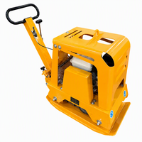 Vente directe usine : Compacteur de plaques à mouvement bidirectionnel, moteur essence, pour sols et terrains