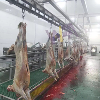Machine de qualité pour ligne d'abattage de moutons, équipement d'abattoir pour chèvres et agneaux, matériel de boucherie, traitement du mouton
