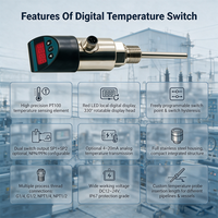Controlador de Temperatura Digital Electrónico con Sensor PT100, Carcasa de Acero Inoxidable IP67, Personalizable OEM/ODM