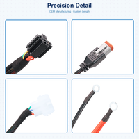 Faisceau de câbles personnalisé multi-branques avec connecteurs étanches en cuivre étamé 600V, fils d'alimentation 10AWG et bornes annulaires en ligne