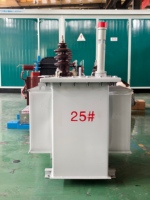Gerilim Trafosu Yağlı Tip Dağıtım Trafosu Elektrik Trafosu Tam Bakır 100kva