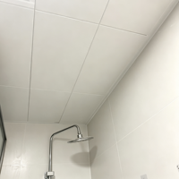 Panneau de plafond suspendu en aluminium au design moderne 300*600mm, résistant à l'humidité, léger, pour la décoration intérieure