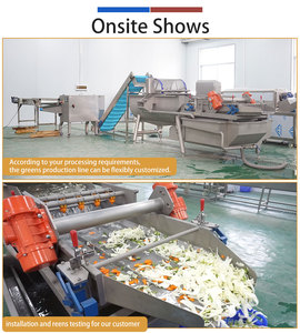 Línea de Procesamiento Automática de Vegetales de 0.5-2t/h, Línea Comercial para Lavado, Corte y Secado de Verduras de Hoja Verde - Product Image 4