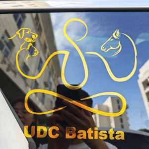 NIKO - Calcomanías Personalizadas con Logotipo Cortado a Troquel UV, Resistentes al Agua, Ecológicas y Duraderas, para Ventanas de Automóviles y Camiones, Vinilo para Exteriores, Letras de PVC - Product Image 3