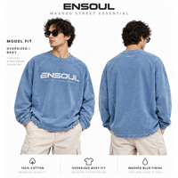 T-shirts et Sweat-shirts Vintage Personnalisés pour Hommes – Impression DTG, Respirants, Écologiques, Lavés, Manches Longues, Streetwear, Pulls – ODM OEM