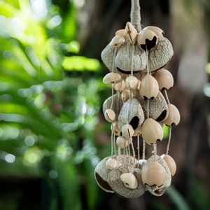 Wholesale Handmade Natural Fruit Shell Rattle <b>Wind</b> <b>Chime</b>, Multiple Style Hanging Bell For Yoga Sound Therapy - Product Image 5
